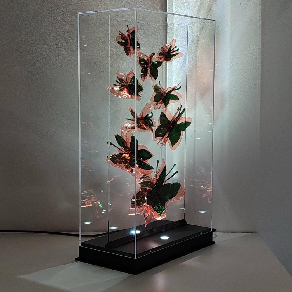 Untitled — butterflies