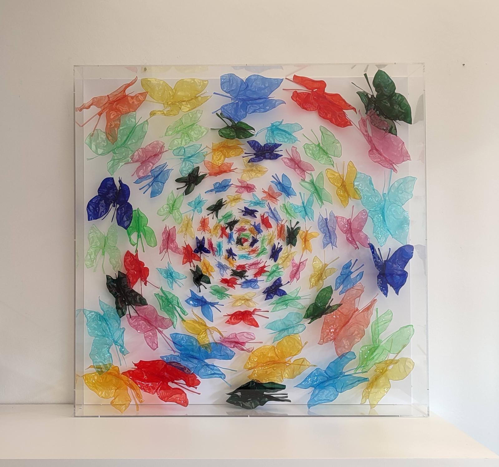 Il volo della vita — colours