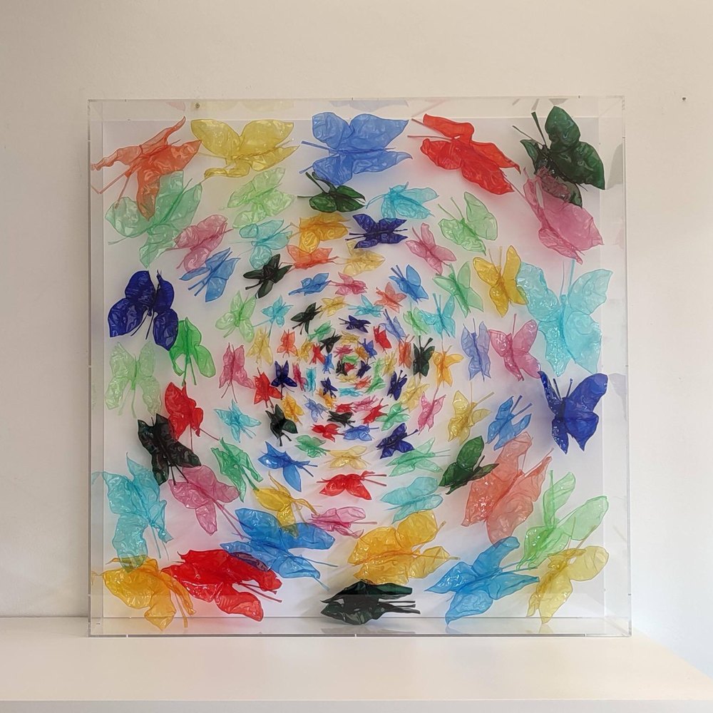 Il volo della vita — colours